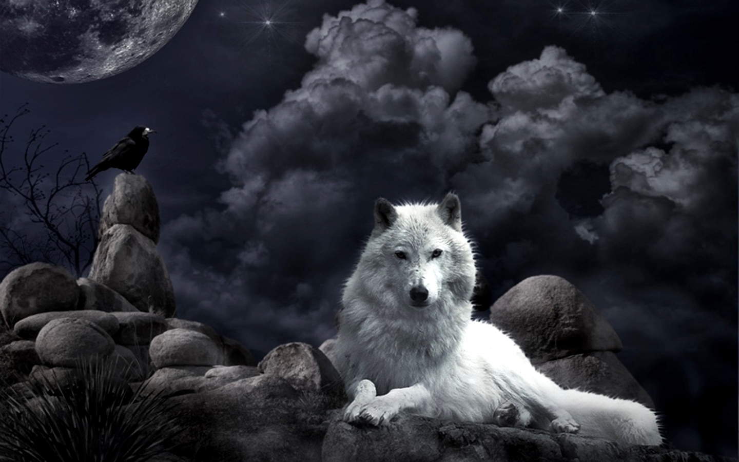 Wolf-Black-Fantasy-HD